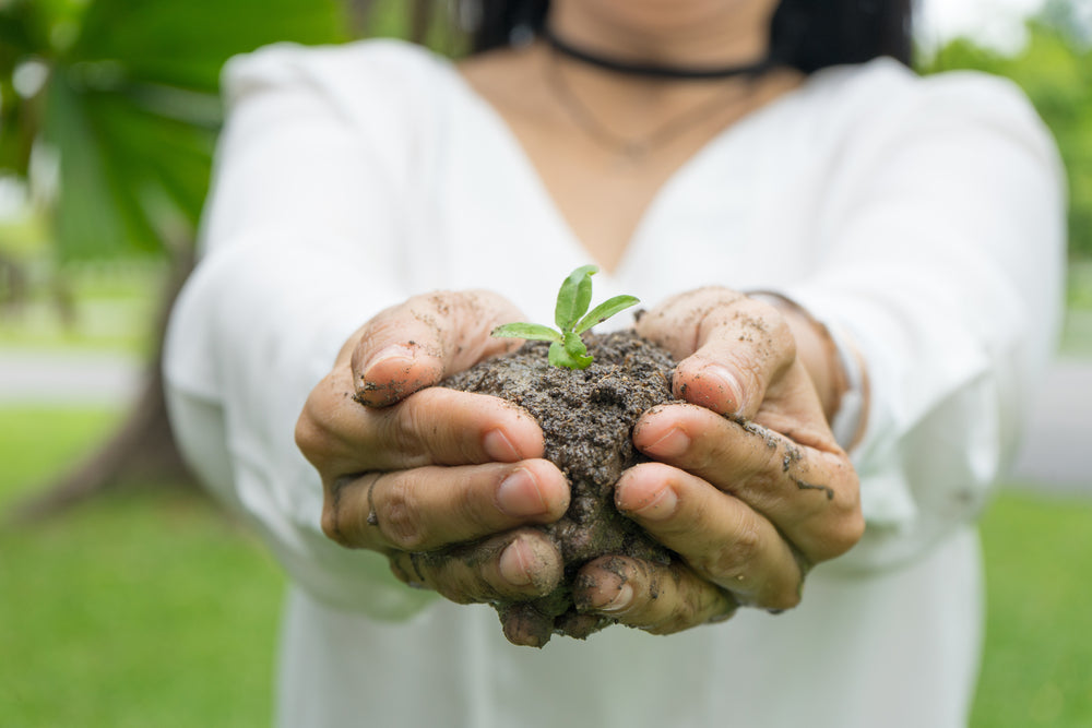 Any Natural What Does Natural Mean Anyway? – CocoPits